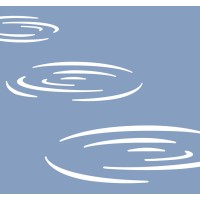 Skipping Stones logo - Similar company to Skipping Stones Capital Partners