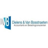 Dielens & Van Bosstraeten BV logo - Similar company to De Thuisbouwer