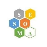 Team SESOMA logo - Similar company to Gior Technology S.A.C.