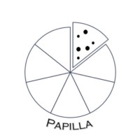 Papilla logo - Similar company to Garipoglu Group
