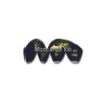 Mercator XXI logo - Similar company to Scenario Design