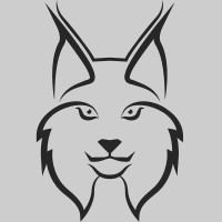 Lynx Consulting Services logo - Similar company to Lynx Hr