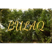 Bulaq logo - Similar company to Greendraft Architects