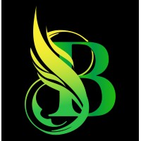 BLAZON logo - Similar company to Geaster Solutions Inc.