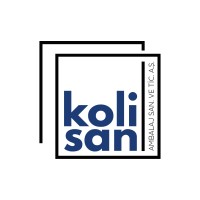Kolisan Ambalaj logo - Similar company to Doğru Grup
