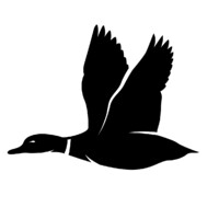 Gull Bay Ventures logo - Similar company to Malibu Cre Group