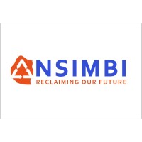 Nsimbi Eswatini logo - Similar company to Nsimbi Engineering Solutions