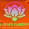 9 LEAFS Garden™ logo - Similar company to Advanbase
