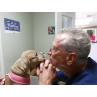 Wailuku Pet Clinic logo - Similar company to Value Pet Clinic