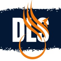 DLS marketing digital logo - Similar company to Develter Innovation
