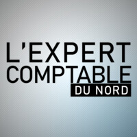 LEXPERT COMPTABLE DU NORD logo - Similar company to La Singularité De L'Expert-Comptable