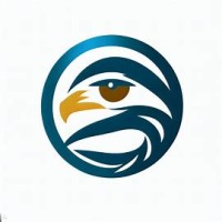 Eagle Eye Consulting logo - Similar company to Wisehyre Pvt Ltd
