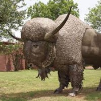 Museum Of The Great Plains