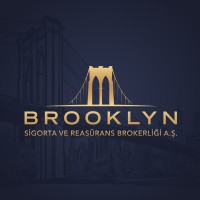 Brooklyn Insurance & Reinsurance Brokerage Inc. logo - Similar company to Metrologybase - Metrology Tripods & Stands