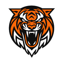 Brisbane Tigers
