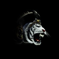 Roxx Lab logo - Similar company to Red Audio