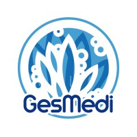 Gesmedi logo - Similar company to Seviston