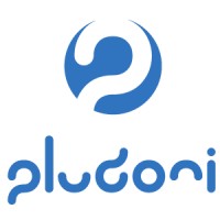 pludoni GmbH logo - Similar company to Intap Network