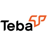 TEBA logo - Similar company to Teba