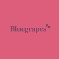 Bluegrapes logo - Similar company to Km Media