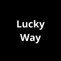 Lucky Way logo - Similar company to Whitelabel Itsolutions