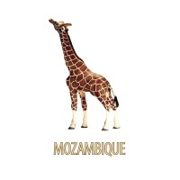 Mozambique Co. logo - Similar company to Vizineo
