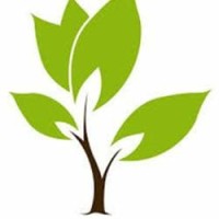 Aweinspiring Magnus Academy logo - Similar company to Anees Defence Career Institute