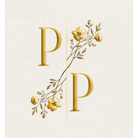 Pioneer Paper logo - Similar company to Adaego India
