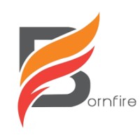Bornfire Innovations Pvt Ltd logo - Similar company to Soften It