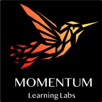 Momentum Learning Labs logo - Similar company to 365 And Beyond