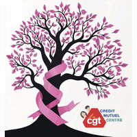 CGT Crédit Mutuel du Centre logo - Similar company to Cfdt-Cmne