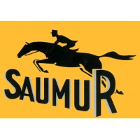Association Saumur ANORABC logo - Similar company to Leormfinance