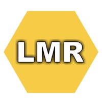 LMR web Solutions Pvt. Ltd. logo - Similar company to Blitz Info System Pvt. Ltd