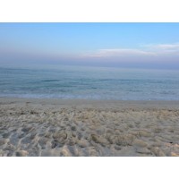 Barrows Consulting Group