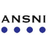 ANSNI logo - Similar company to Aproxi Aps