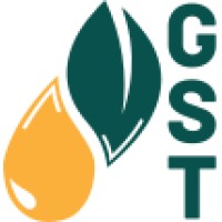 Global Sustainable Transformation GST logo - Similar company to Bind-X