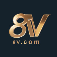 8V Global logo - Similar company to Vanshi Global