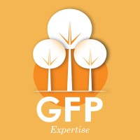 GFP EXPERTISE logo - Similar company to Actheos Bsec