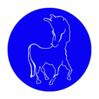Horses logo - Similar company to Skafld Studio