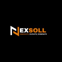 Nexsoll logo - Similar company to Dedum Solutions
