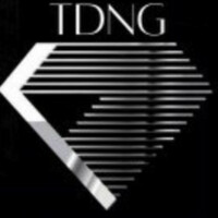 The Diamond Network Group logo - Similar company to Diamond Network
