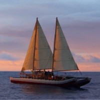 Beyond Our Edge, LLC logo - Similar company to Ctrl Collective