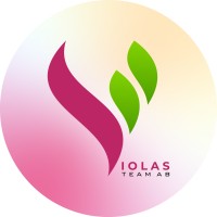Violas Team AB logo - Similar company to Bergtornet Entreprenad