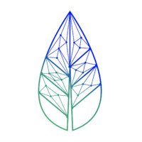 Vide Networks logo - Similar company to Buffet App