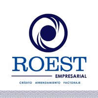 Roest Empresarial logo - Similar company to Pc Virtual