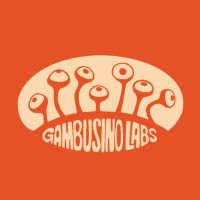 Gambusino Labs S.C.