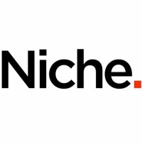 Niche Strategies logo - Similar company to Dunya Habitats