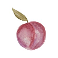 Plum Design Co. logo - Similar company to Plum Design Studio