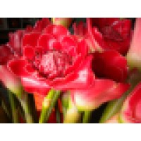 Puna Kamalii Flowers, Inc. logo - Similar company to Torrent Resources