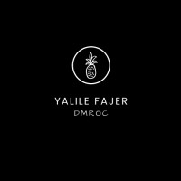Yalile Fajer Consulting logo - Similar company to Huron Technology, Llc